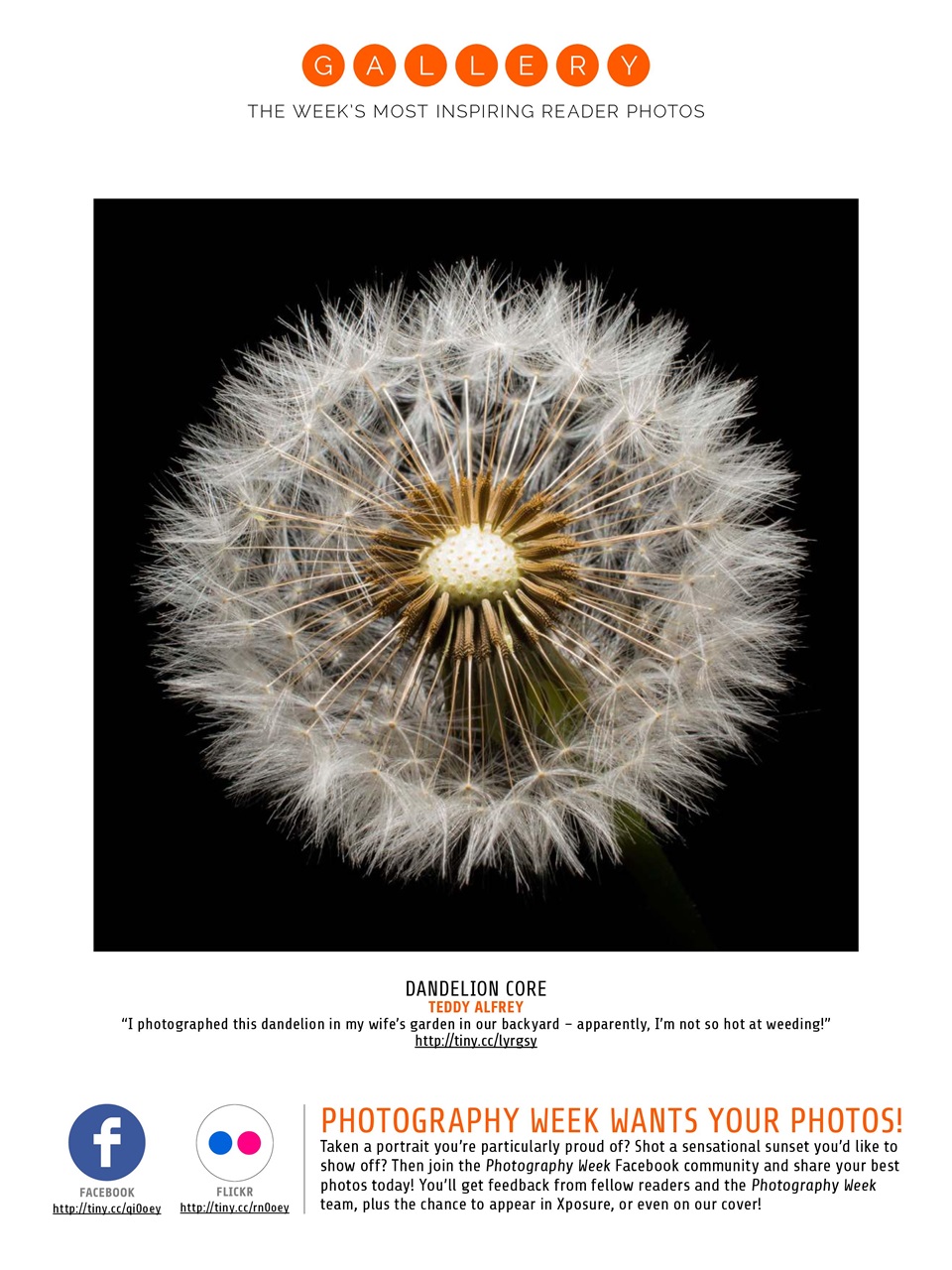 Photography Week Preview Pages