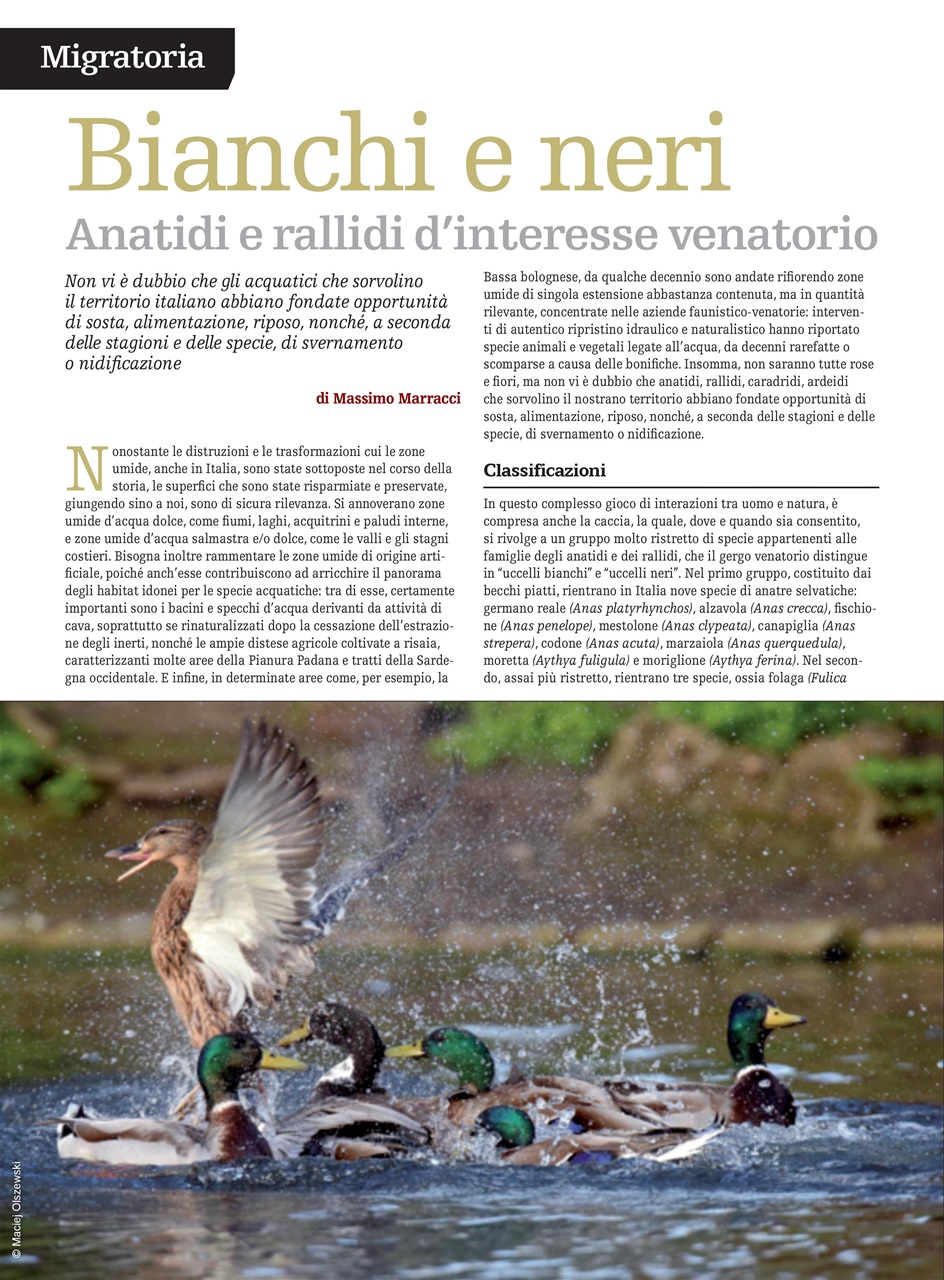 SENTIERI DI CACCIA Preview Pages