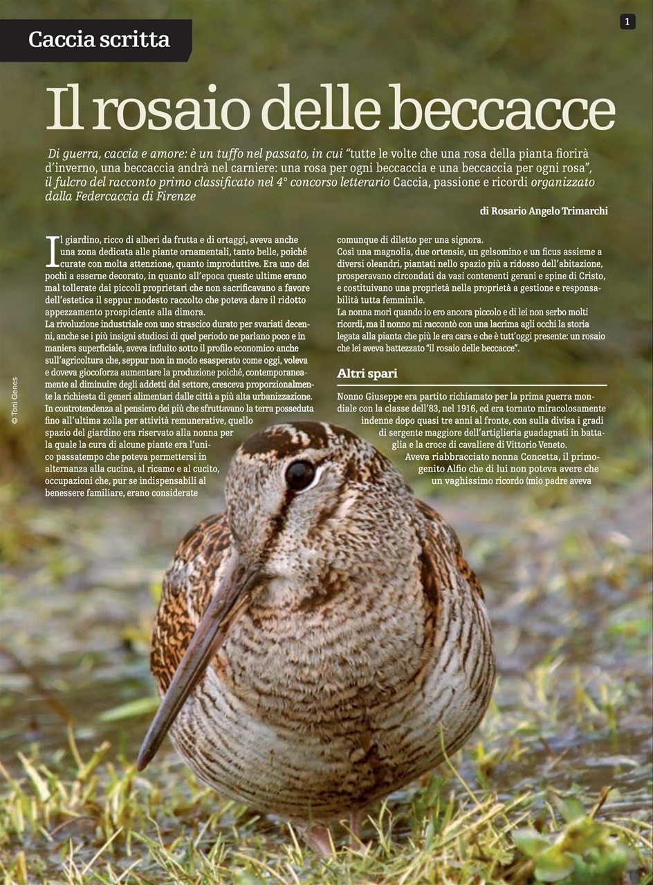 SENTIERI DI CACCIA Preview Pages