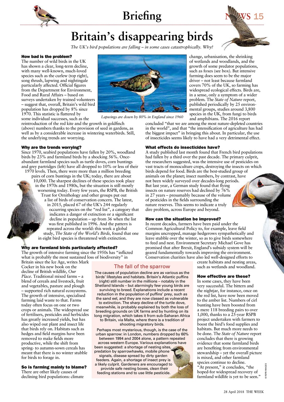 The Week Preview Pages