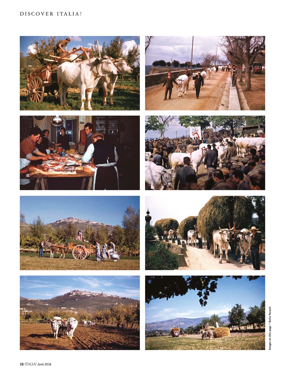 Italia! Preview Pages