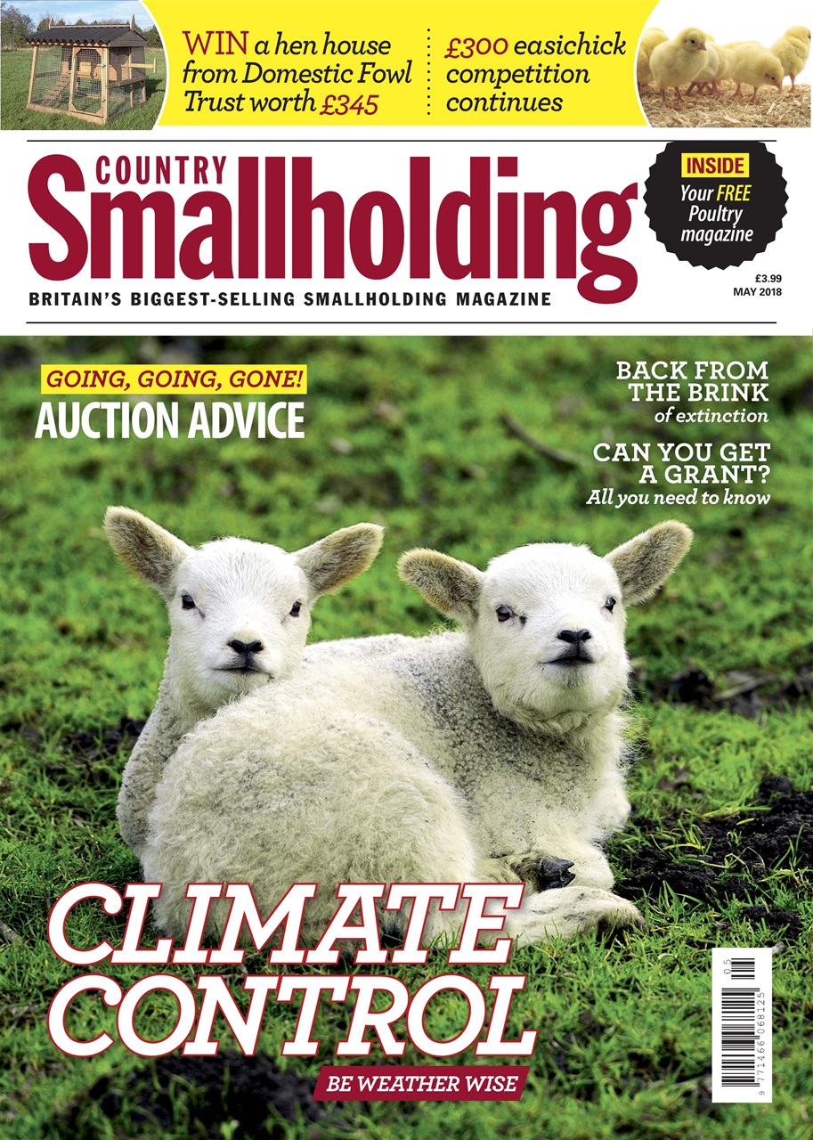 The Country Smallholder Preview Pages