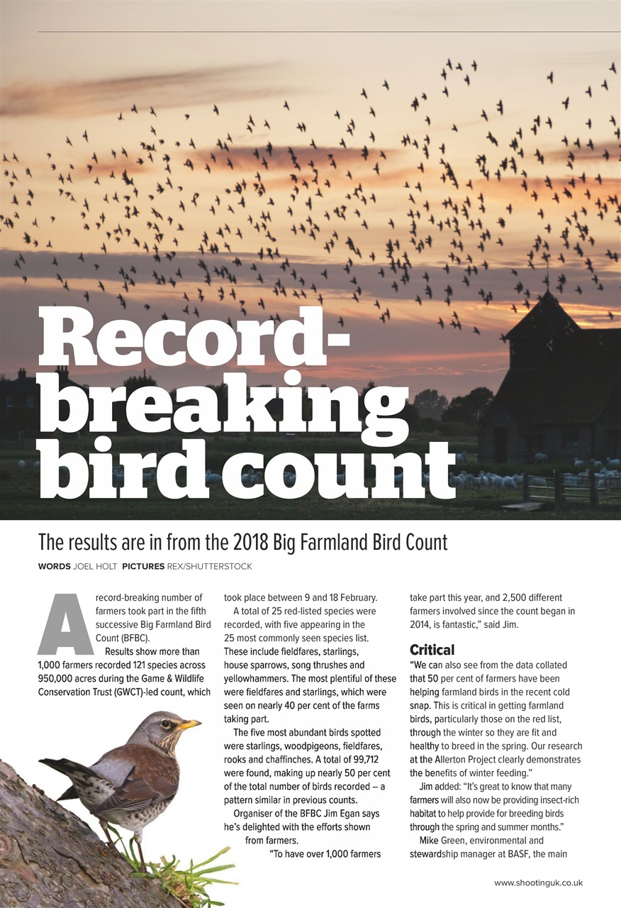 Sporting Gun Preview Pages