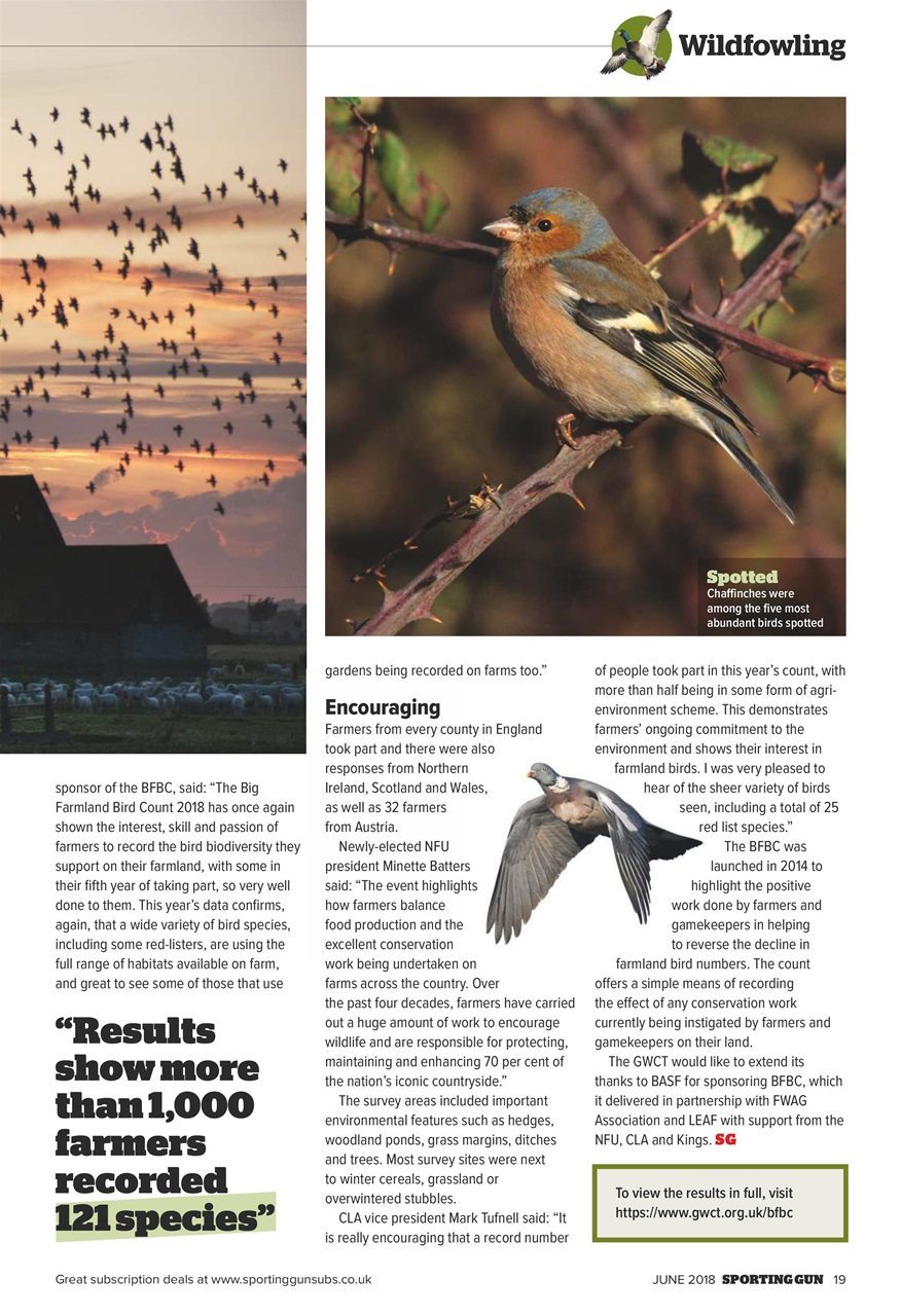 Sporting Gun Preview Pages