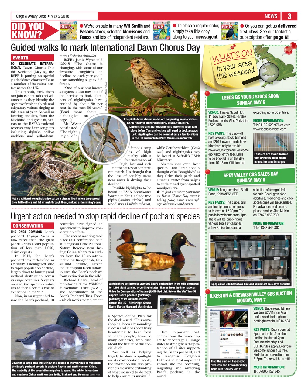 Cage & Aviary Birds Preview Pages