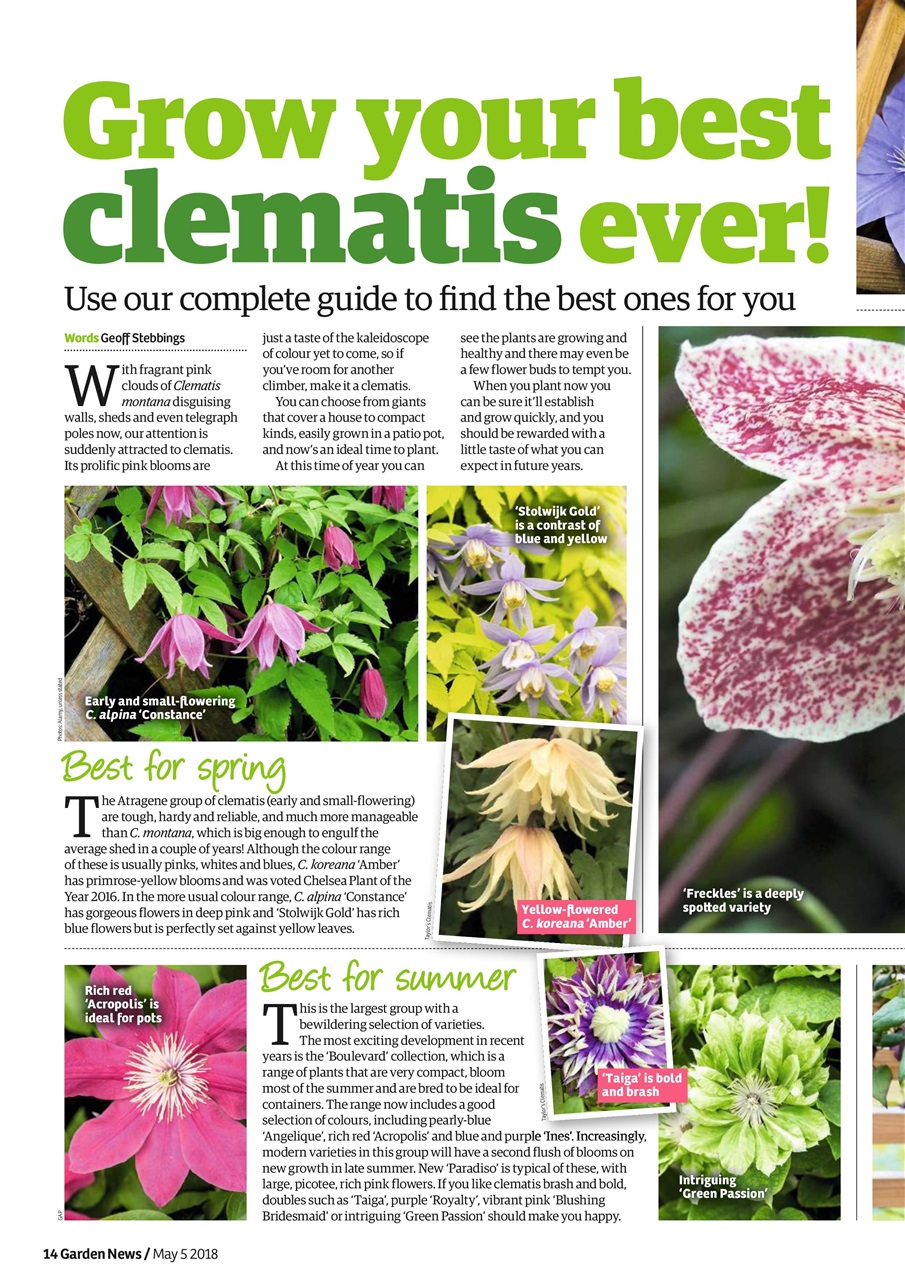 Garden News Preview Pages