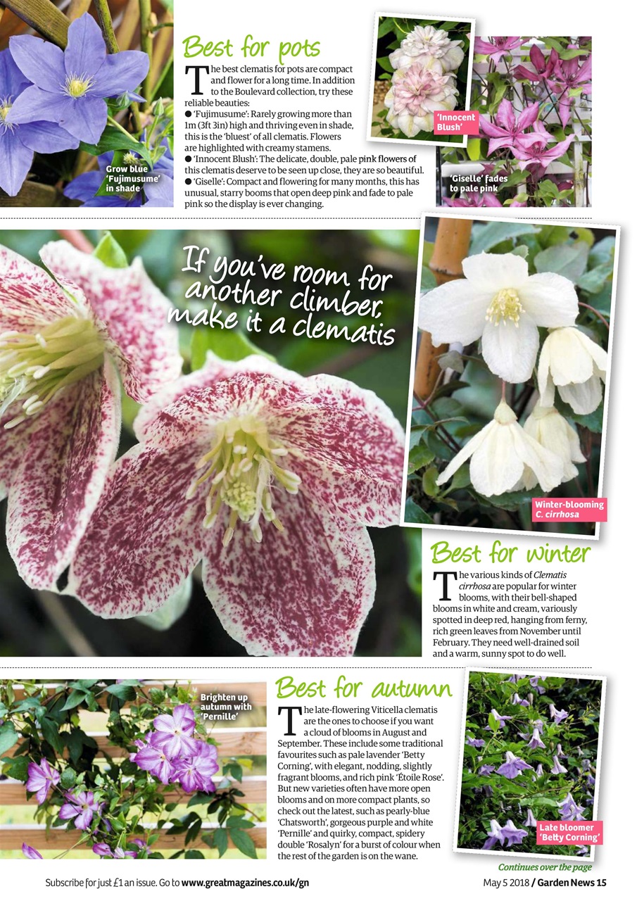 Garden News Preview Pages
