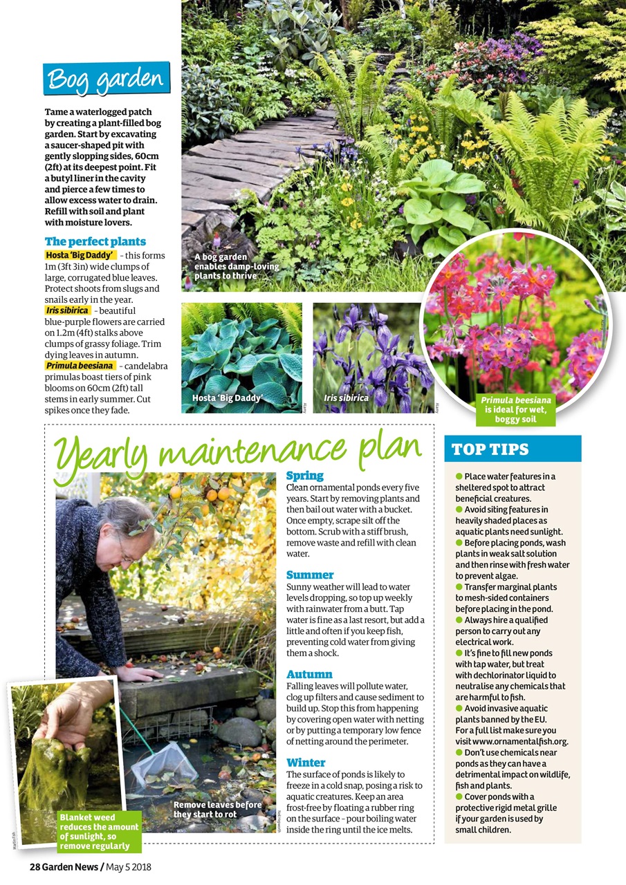 Garden News Preview Pages