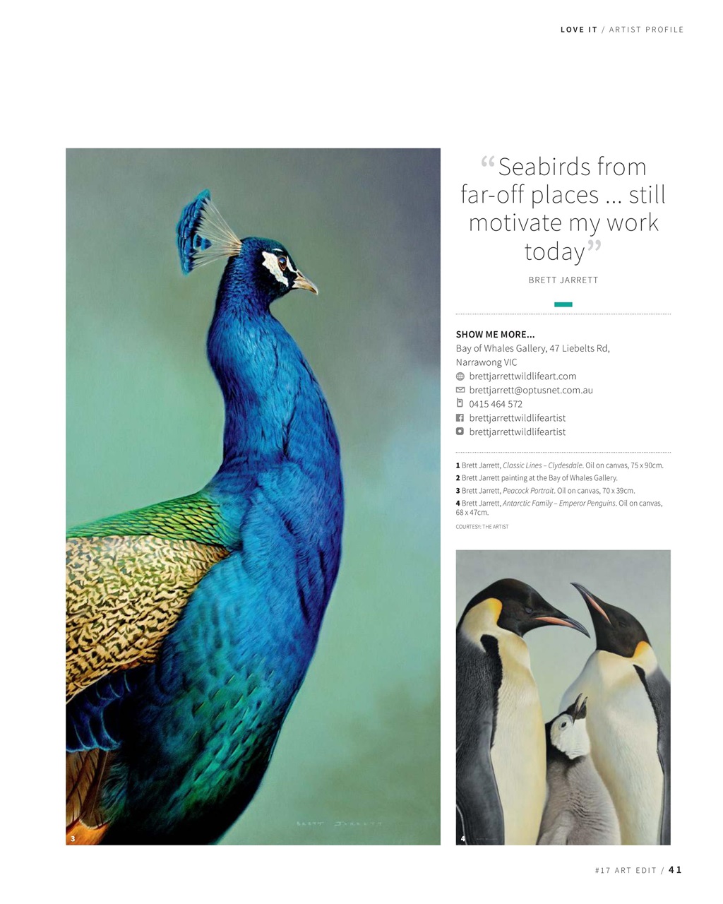 Art Edit Preview Pages