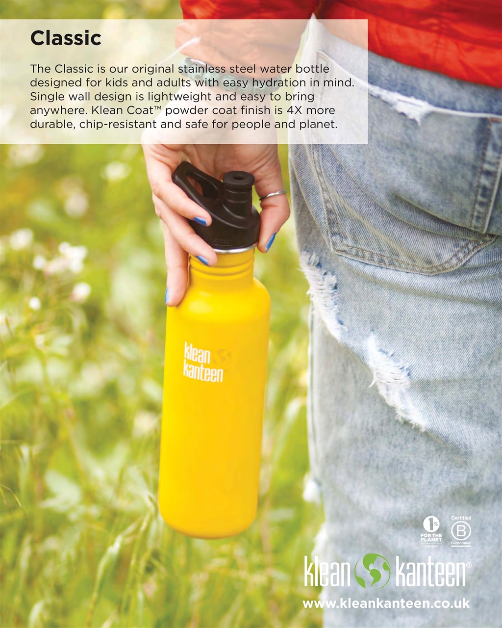 Vegetarian Living Preview Pages