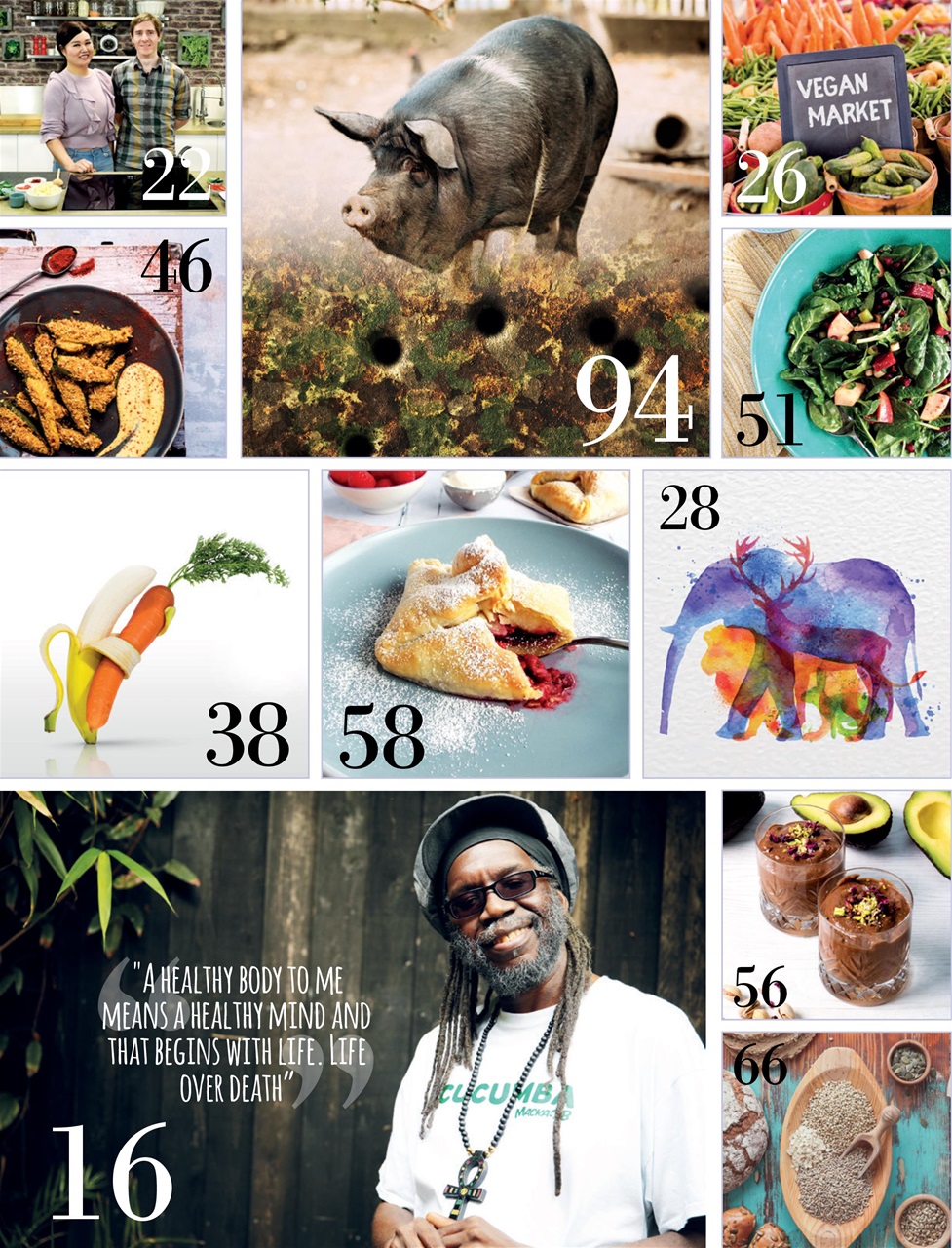 Vegan Life Preview Pages