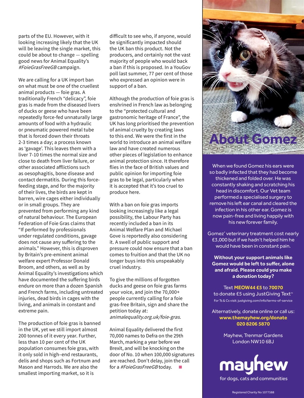 Vegan Life Preview Pages