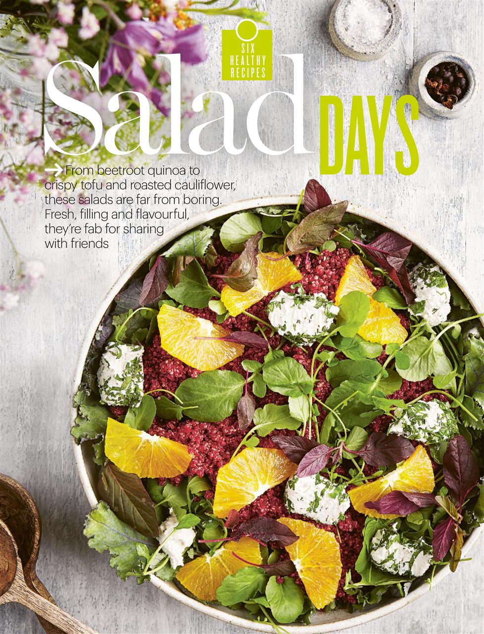 Healthy Magazine Preview Pages