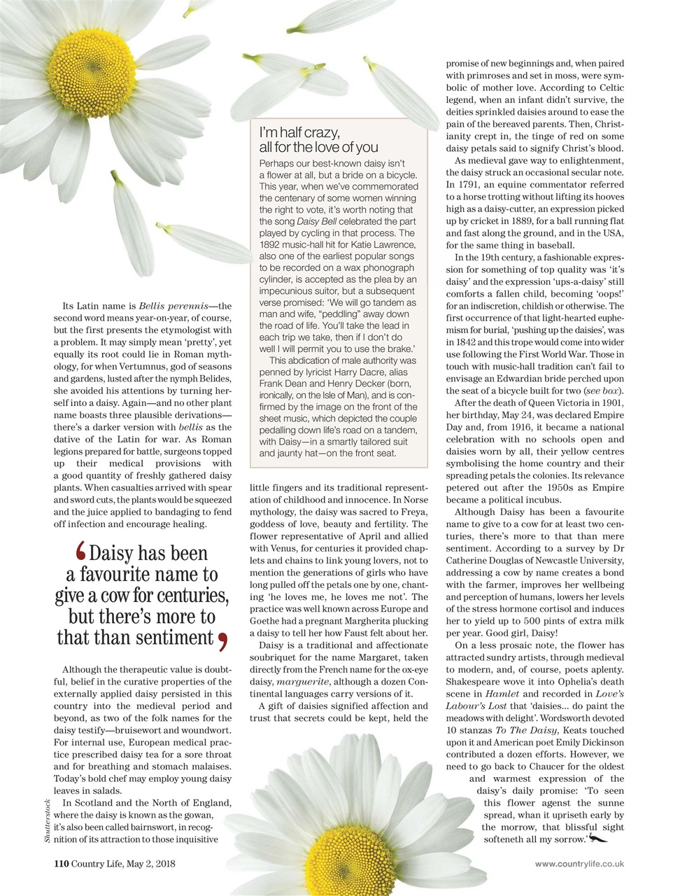Country Life Preview Pages