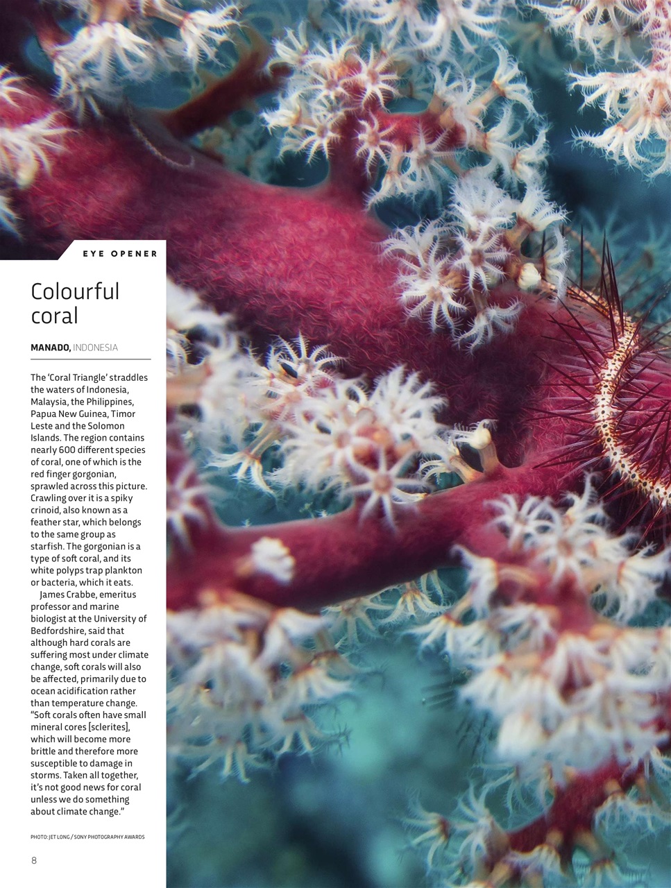 BBC Science Focus Magazine Preview Pages