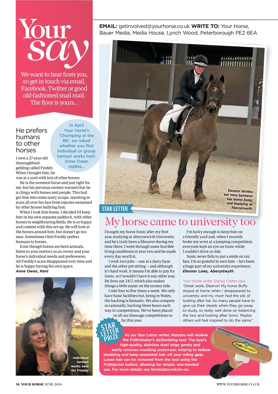Your Horse Preview Pages