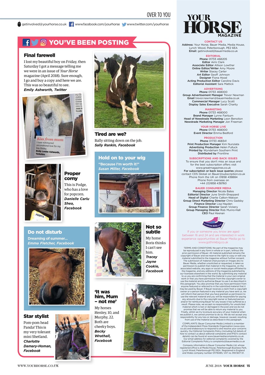 Your Horse Preview Pages