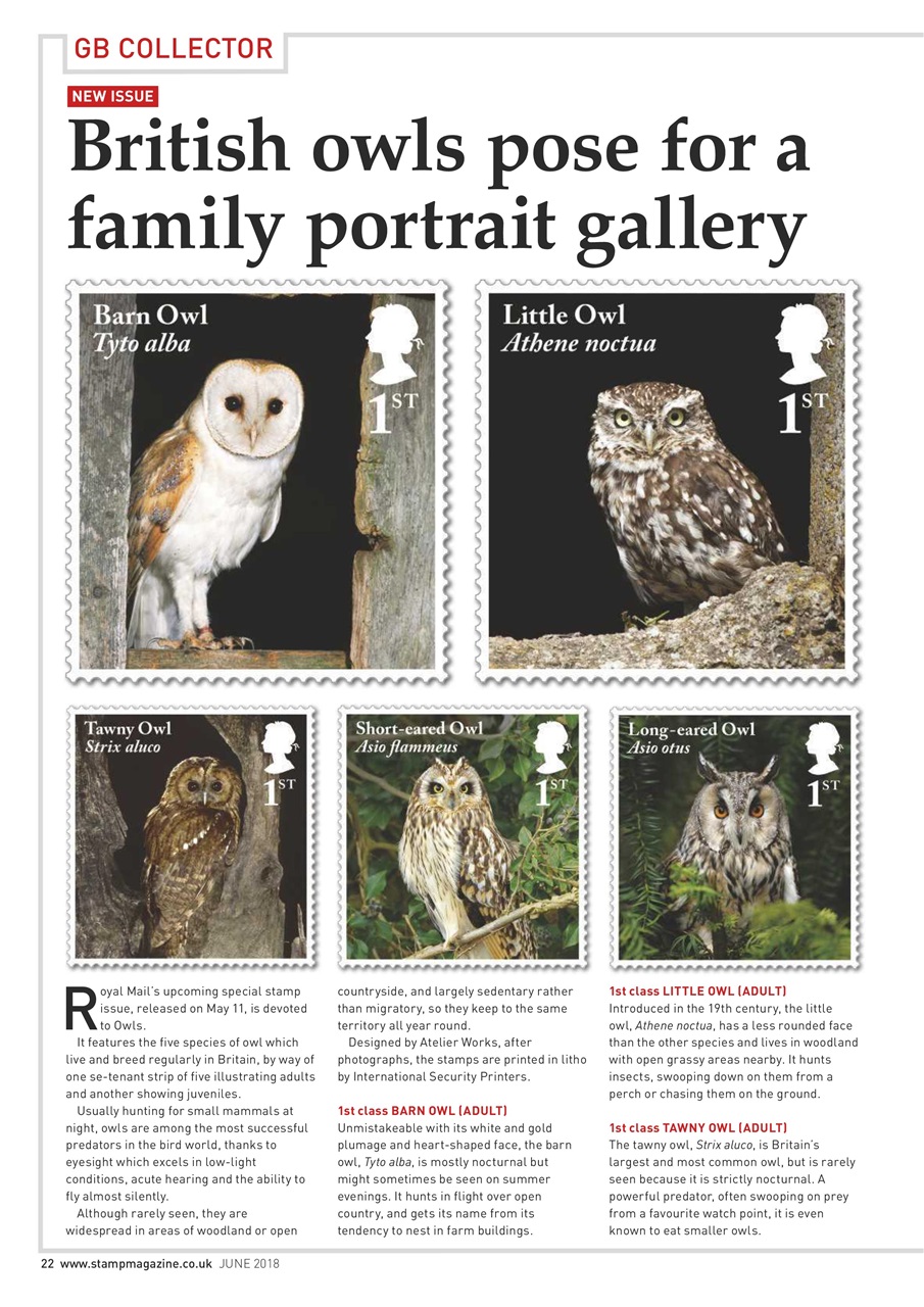 Stamp Magazine Preview Pages