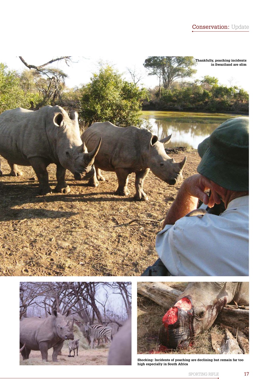 Sporting Rifle Preview Pages