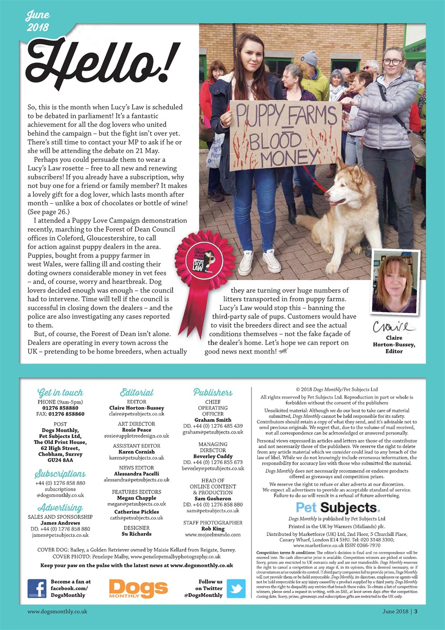 Dogs Monthly Preview Pages