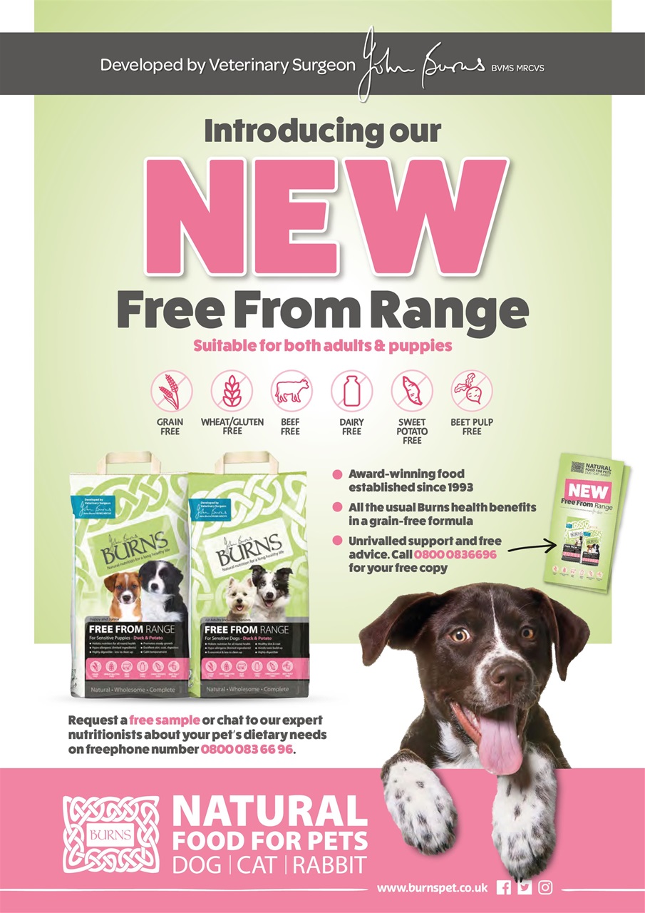 Dogs Monthly Preview Pages