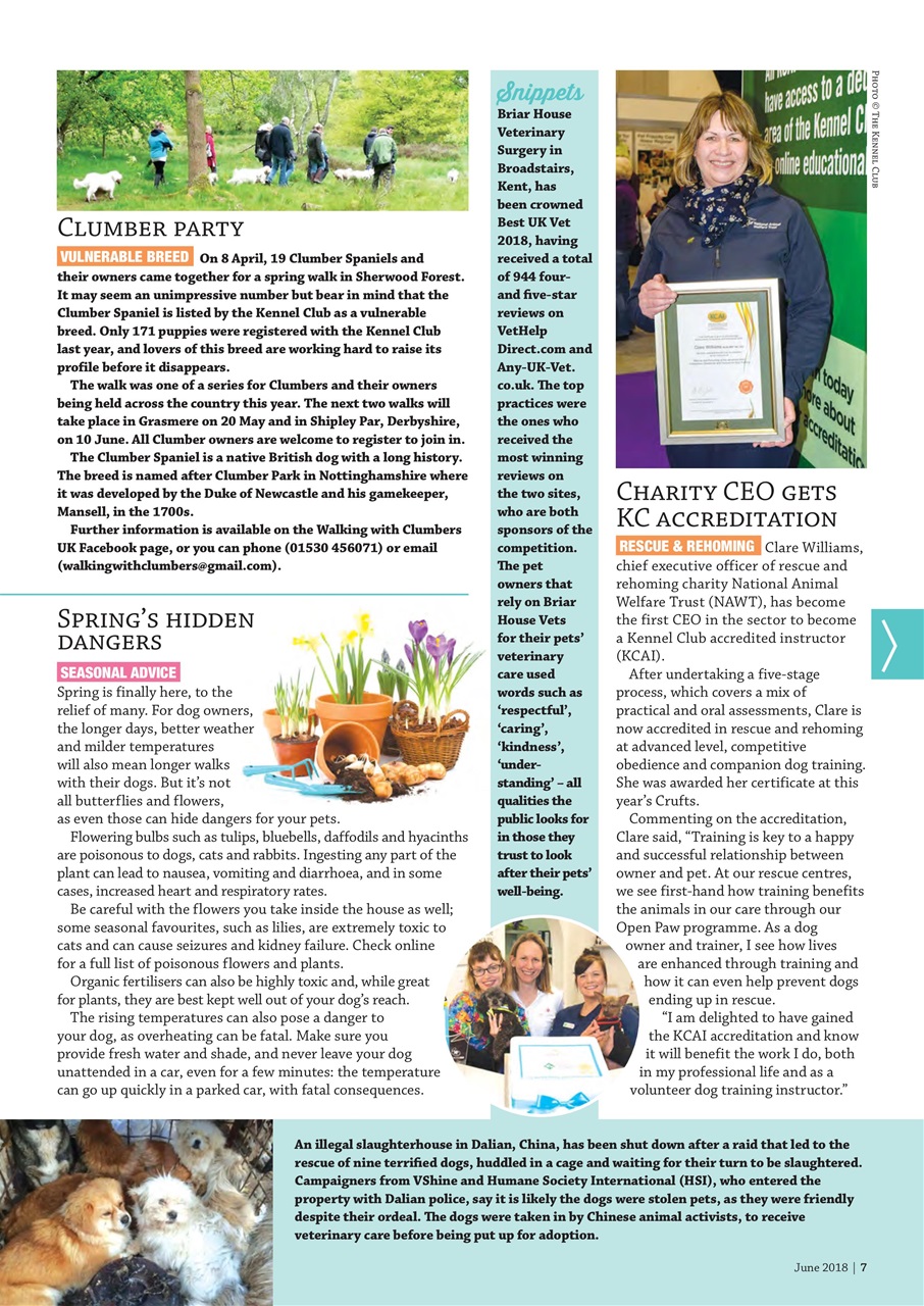Dogs Monthly Preview Pages