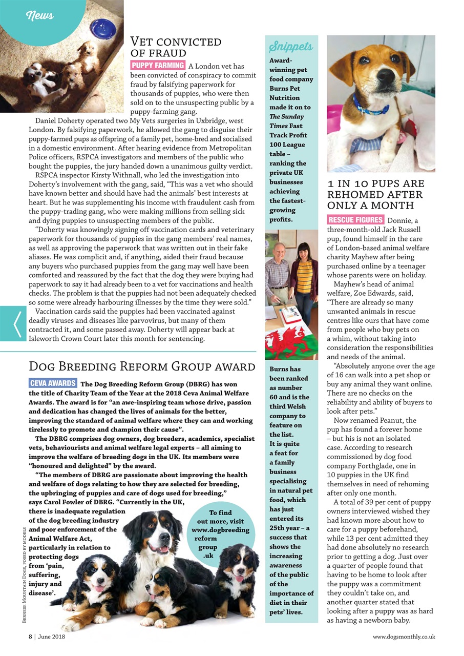 Dogs Monthly Preview Pages