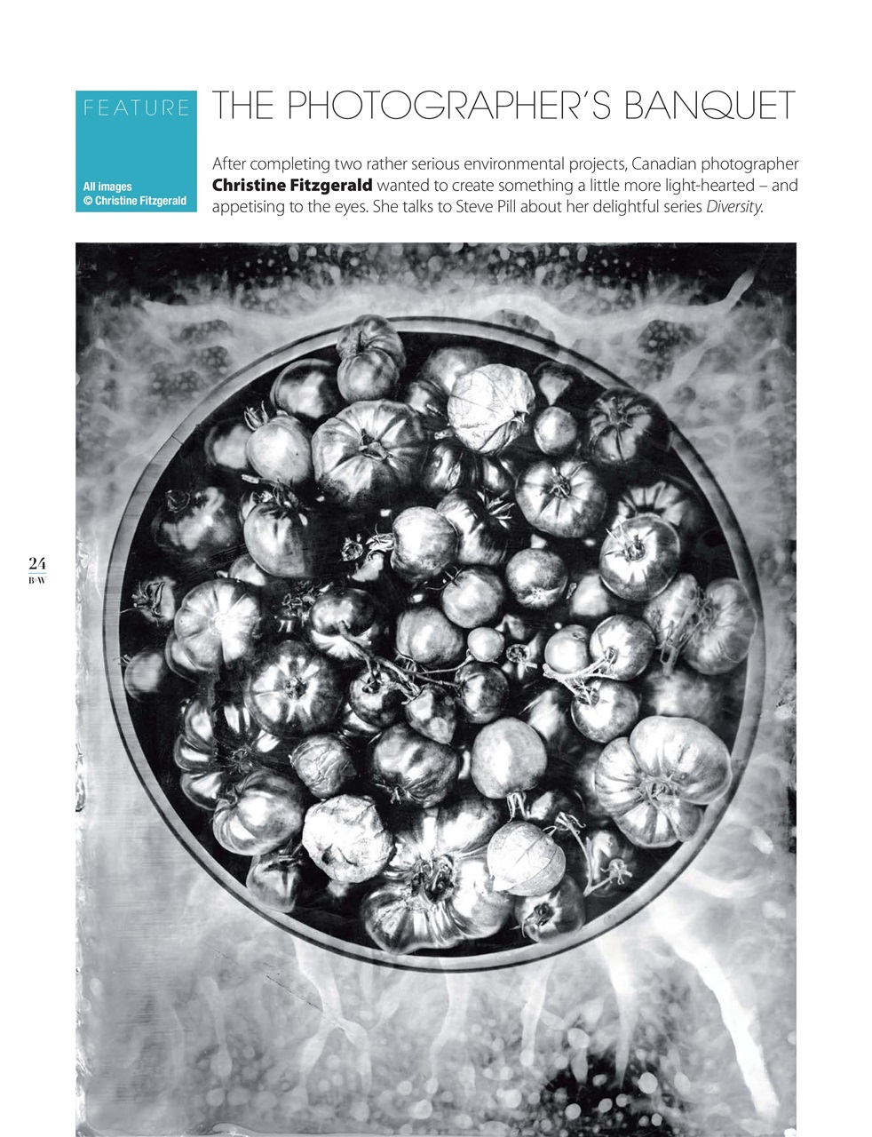 Black+White Photography Preview Pages