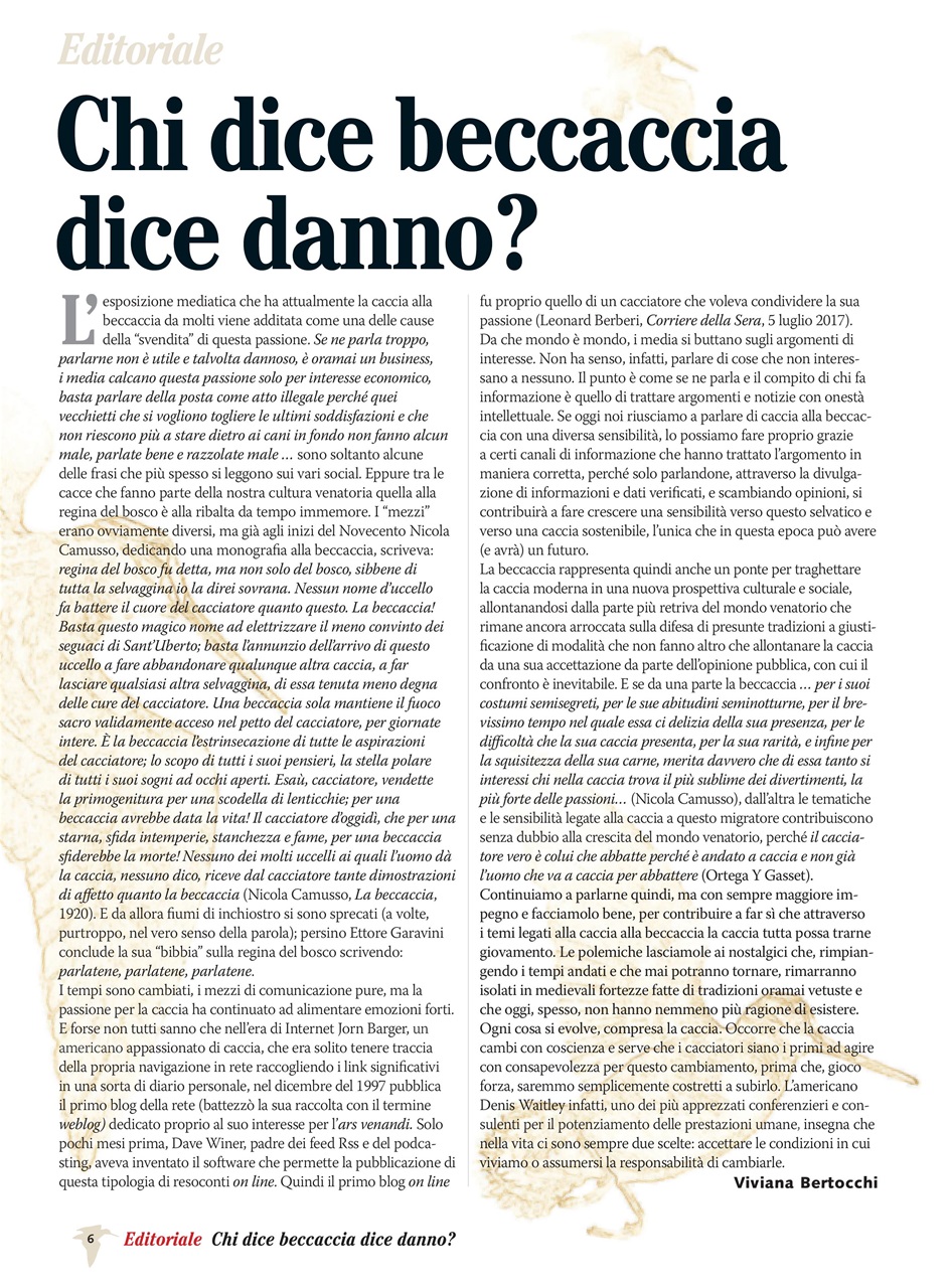 BECCACCE CHE PASSIONE Preview Pages