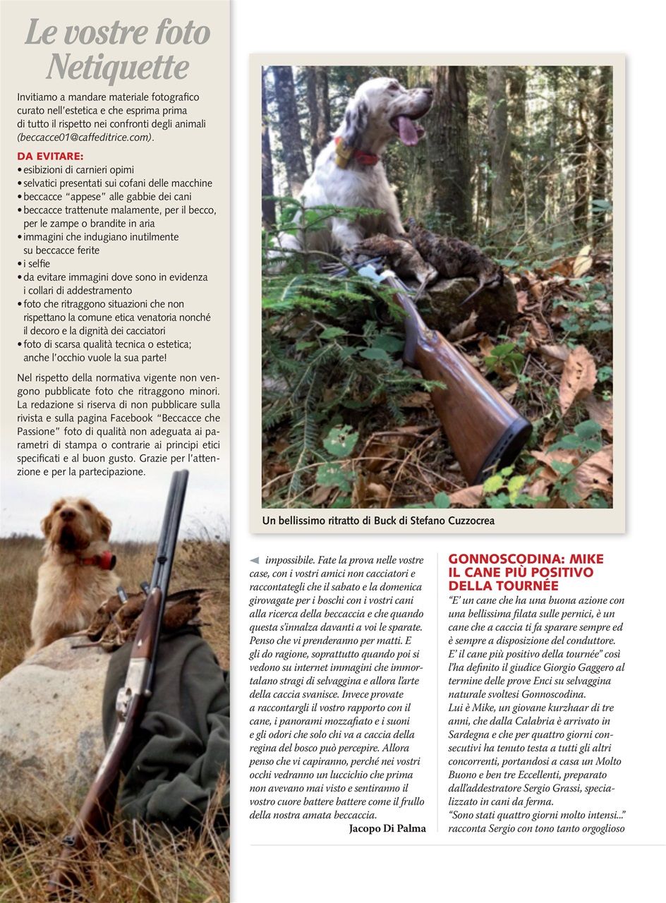 BECCACCE CHE PASSIONE Preview Pages