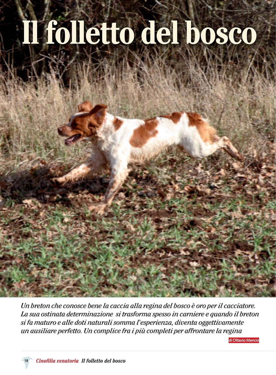 BECCACCE CHE PASSIONE Preview Pages