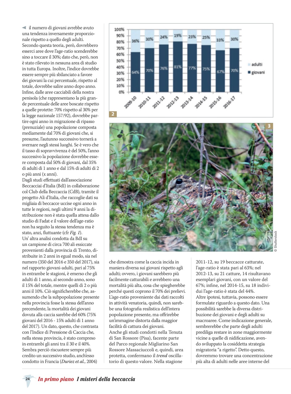 BECCACCE CHE PASSIONE Preview Pages