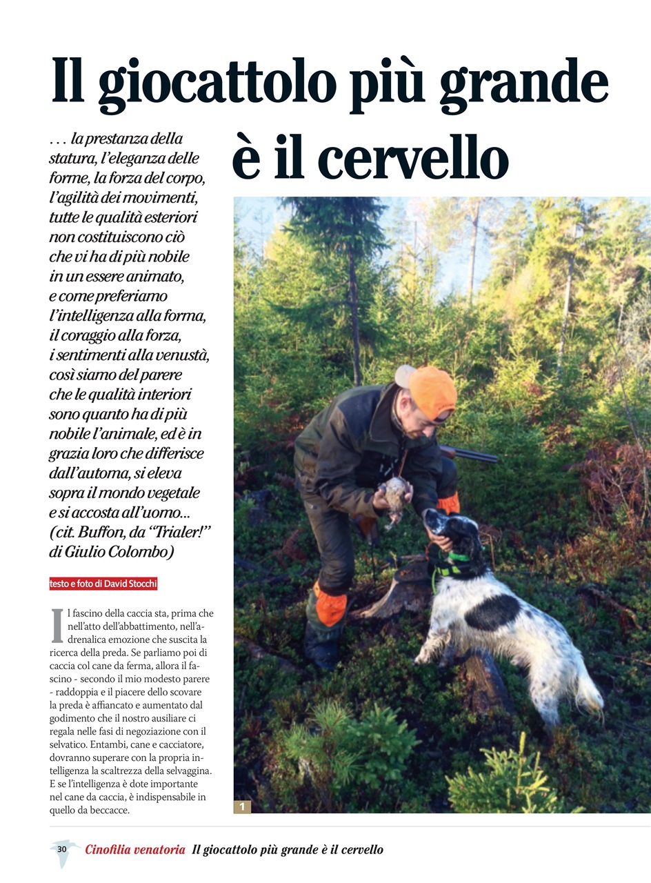 BECCACCE CHE PASSIONE Preview Pages