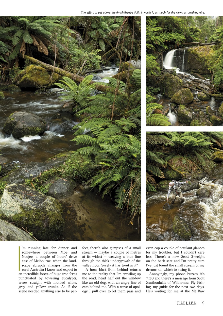 FlyLife Preview Pages