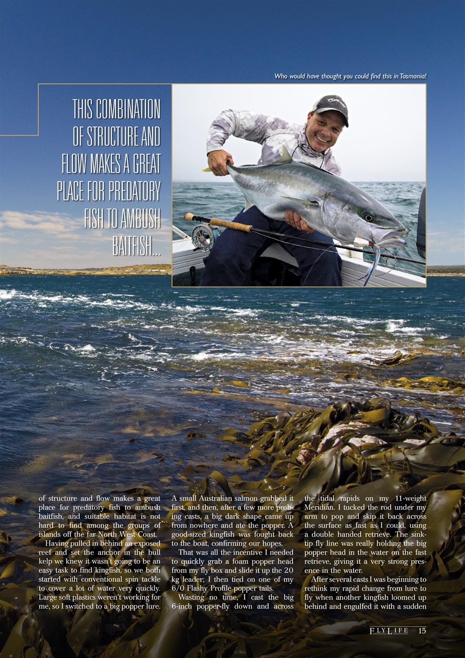 FlyLife Preview Pages