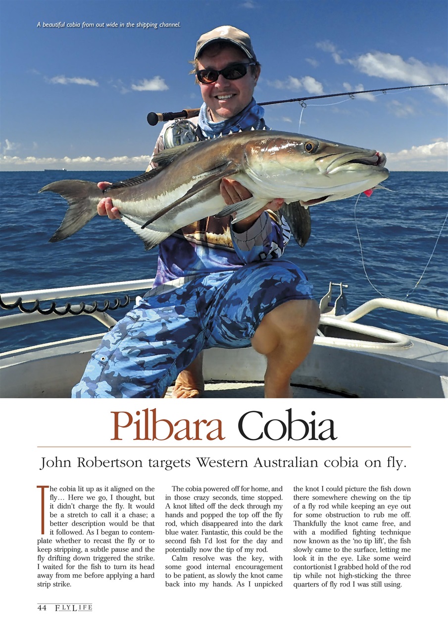 FlyLife Preview Pages