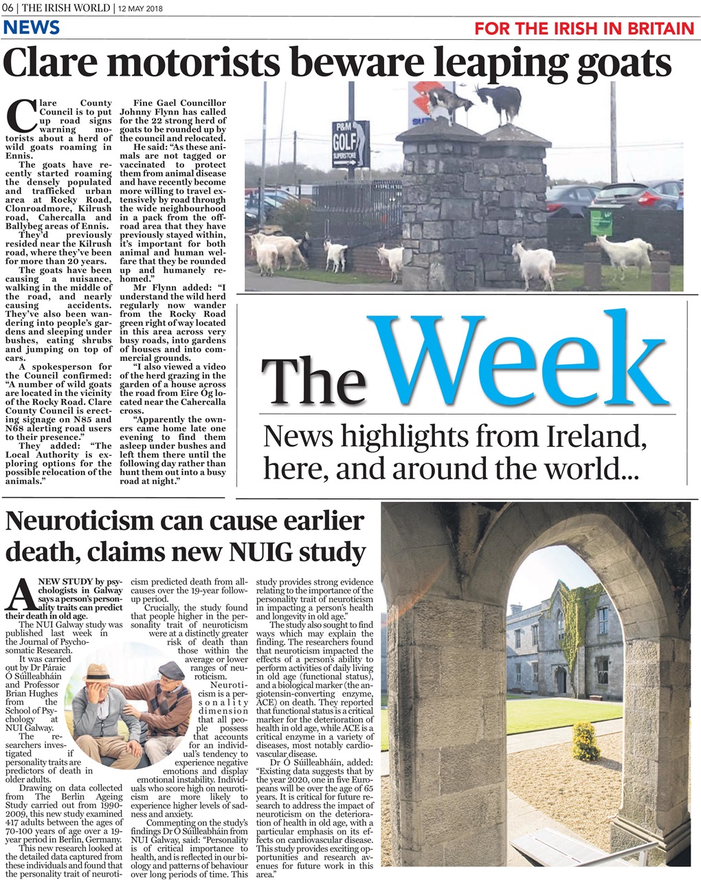 Irish World Preview Pages