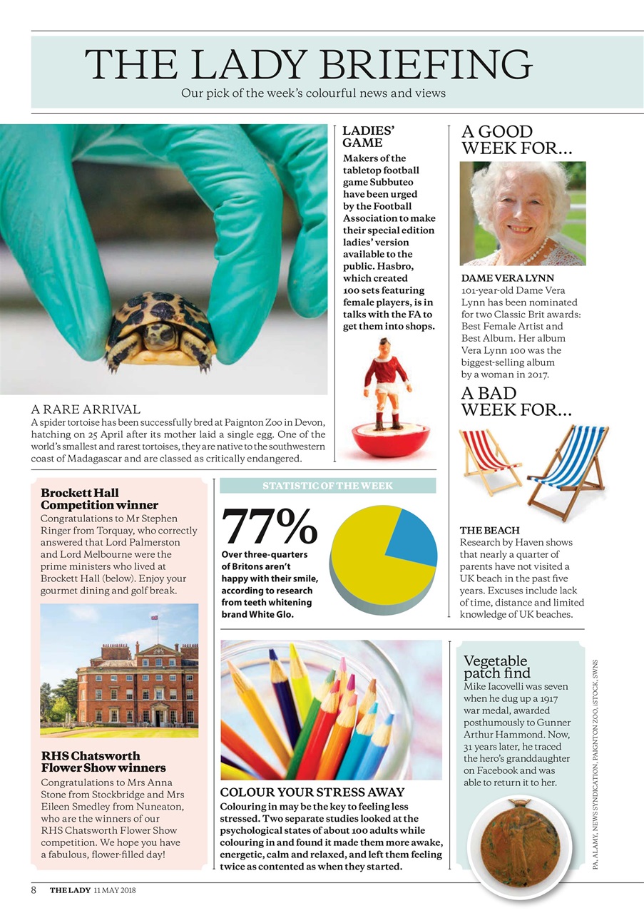 The Lady Preview Pages