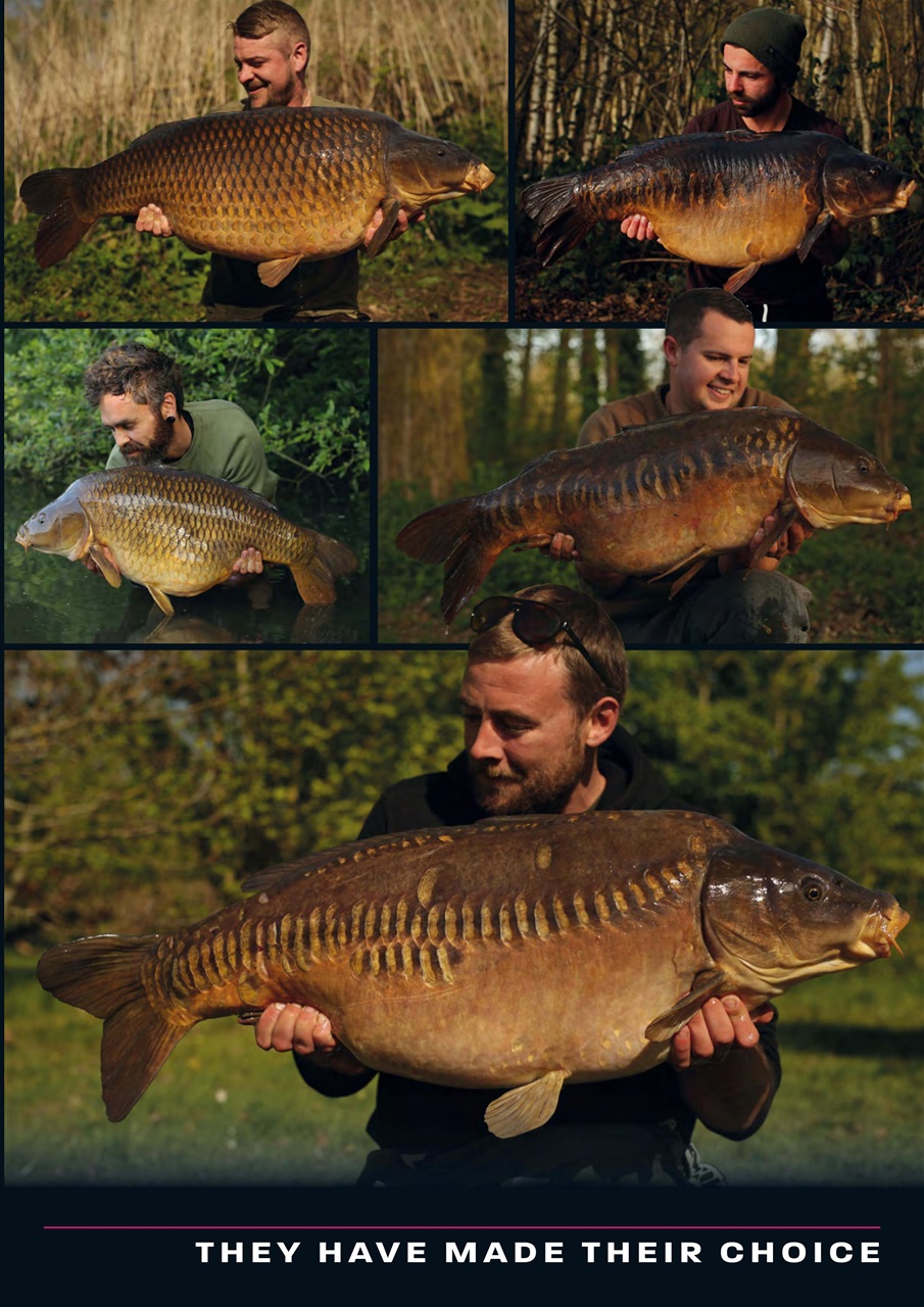 Total Carp Preview Pages