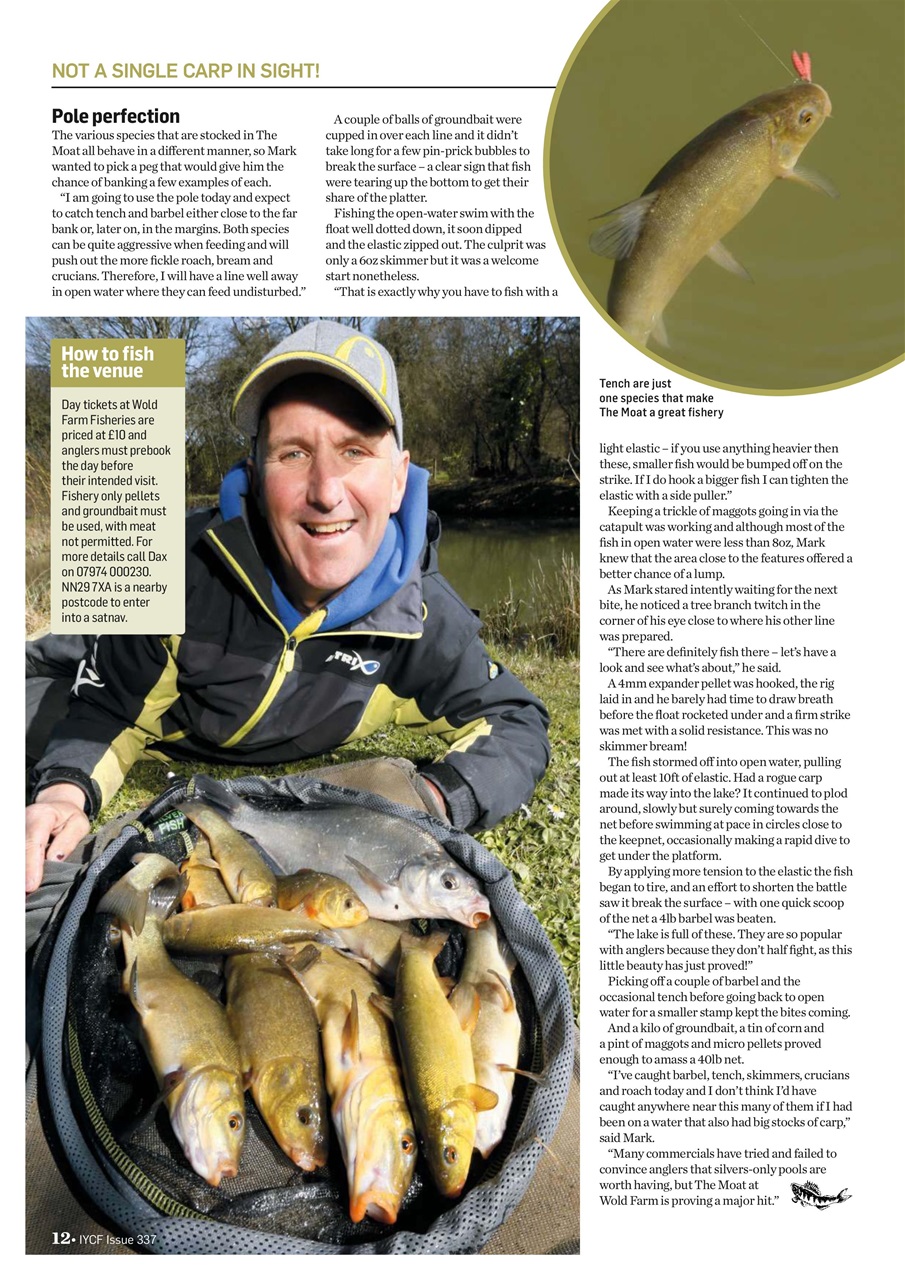 Improve Your Coarse Fishing Preview Pages