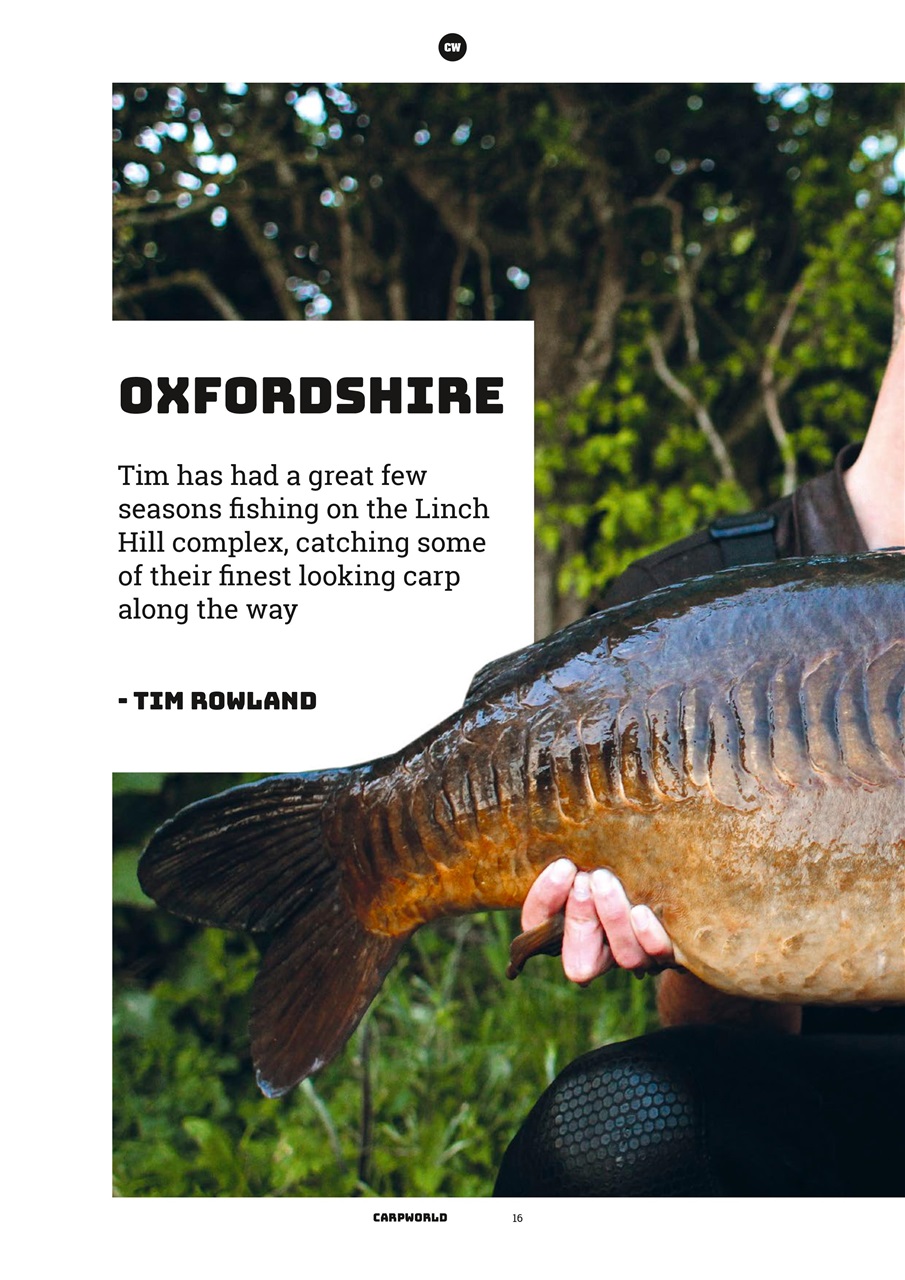 Carpworld Preview Pages