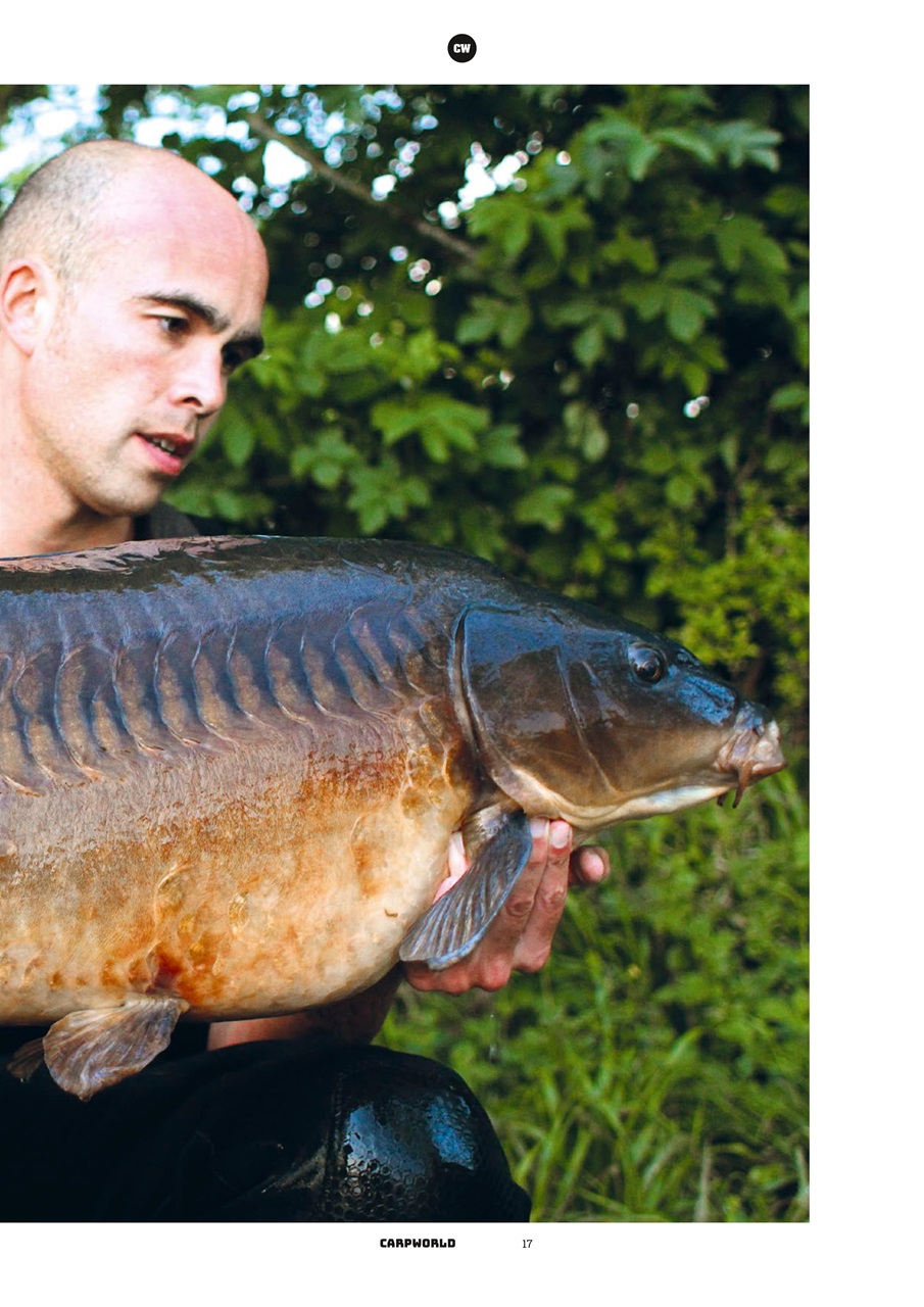 Carpworld Preview Pages