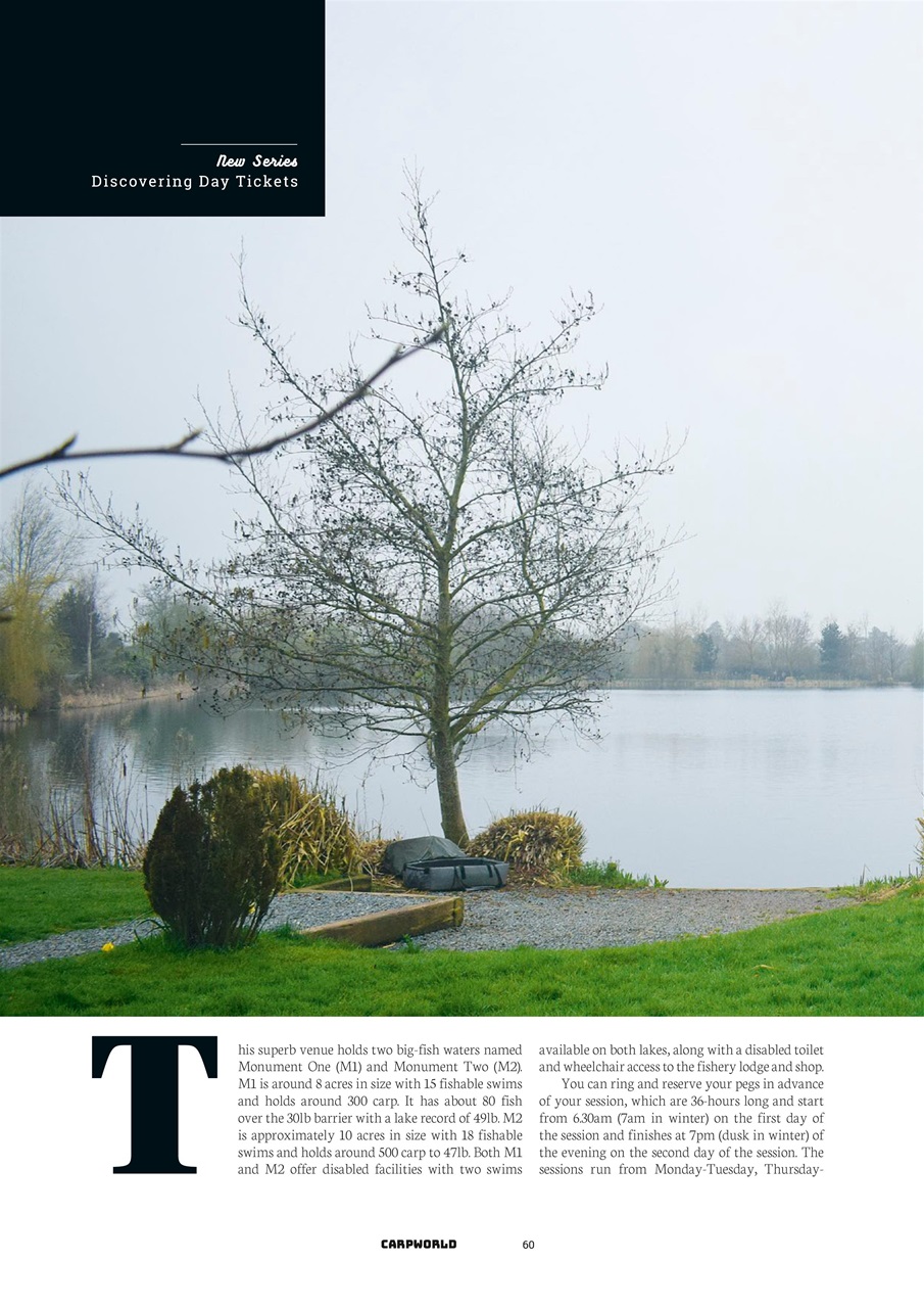 Carpworld Preview Pages