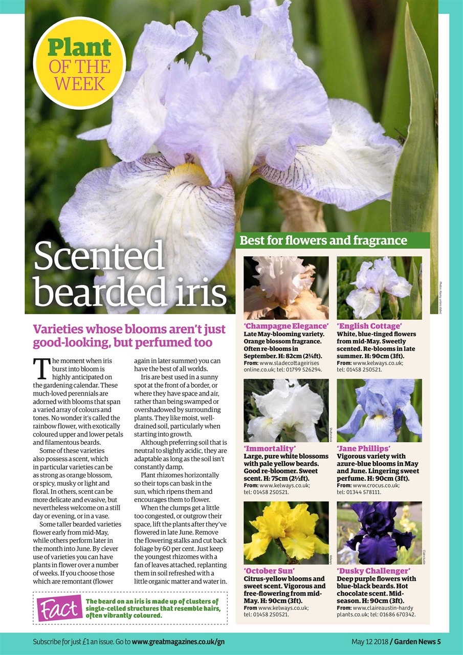 Garden News Preview Pages