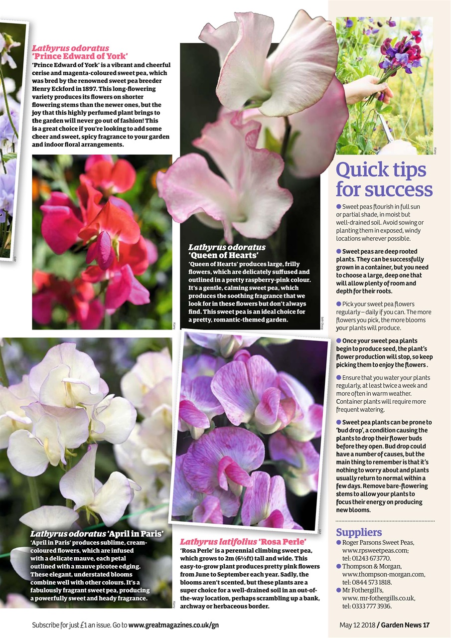 Garden News Preview Pages
