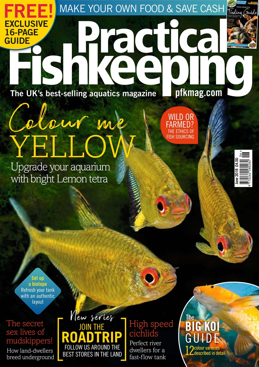Practical Fishkeeping Preview Pages