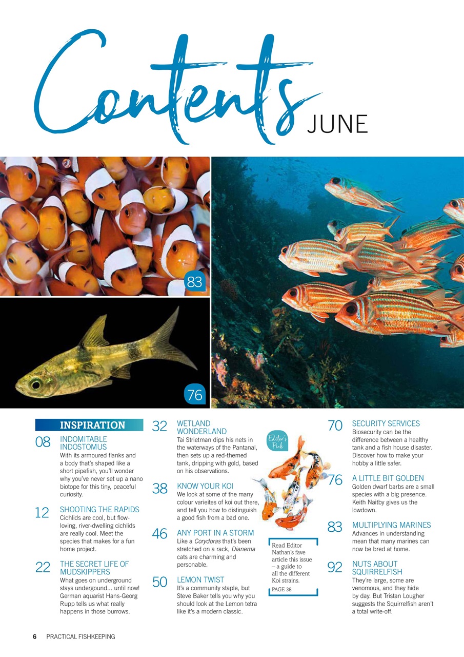 Practical Fishkeeping Preview Pages