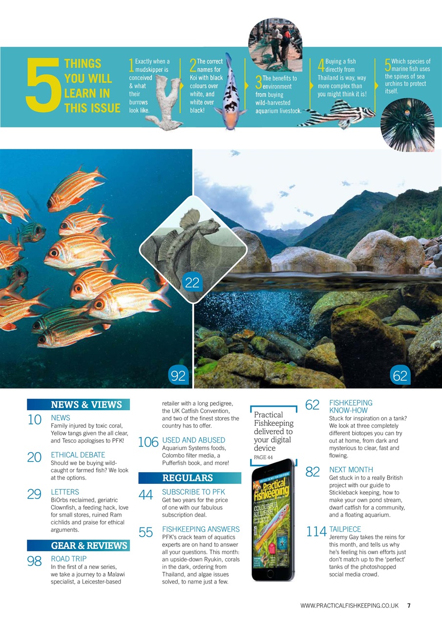 Practical Fishkeeping Preview Pages