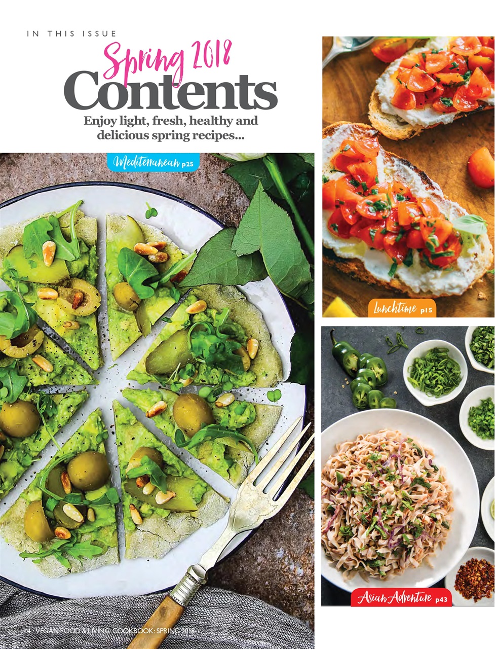 Vegan Cookbook Preview Pages