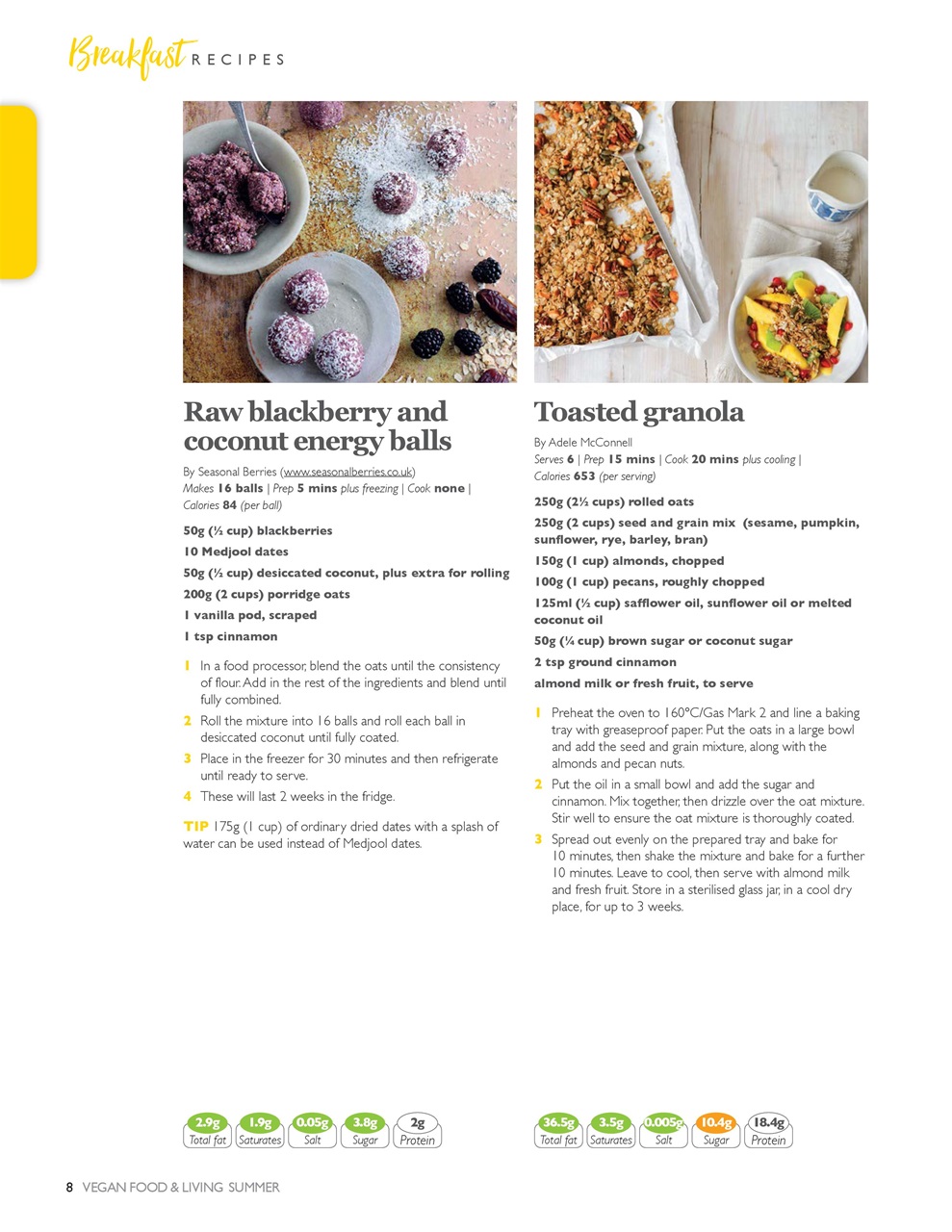 Vegan Cookbook Preview Pages
